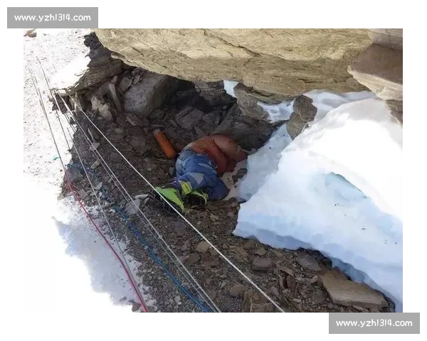 被掩埋的真相一场惨案背后的权力失守与人性崩塌纪实追问历史回声